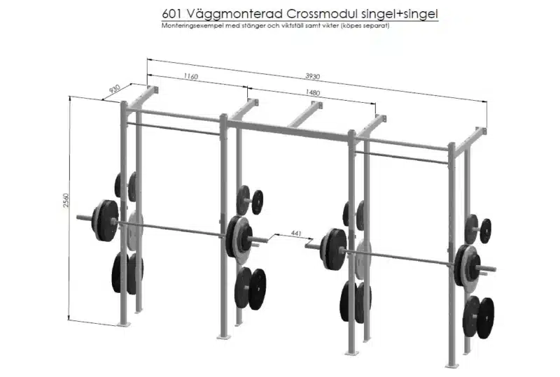 601 Gymleco Wandmontage-Rig